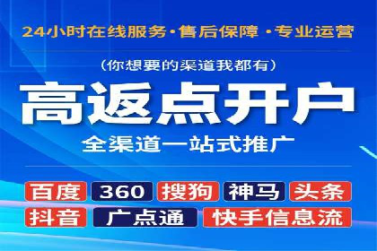 竞价广告与自然搜索的结合策略：XX网站的案例分析